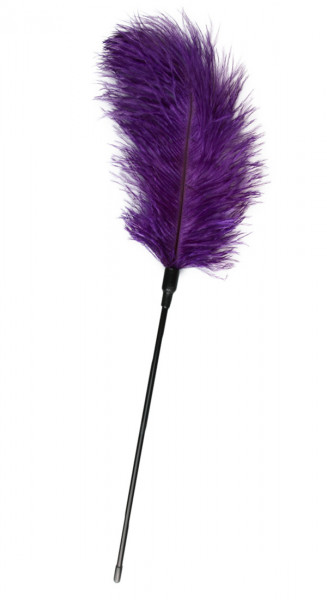 FEATHER TICKLER [Easytoys] lila/schwarz