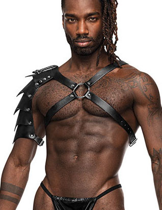 AQUARIUS - HARNESS [Male Power] schwarz